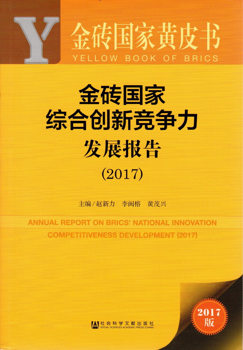 黄色流水视频啊啊啊金砖国家综合创新竞争力发展报告（2017）